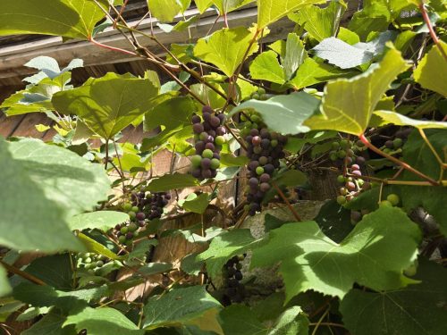 Ausflug Lienzer Klause 2025