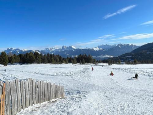 Rodelspaß in Südtirol 2023